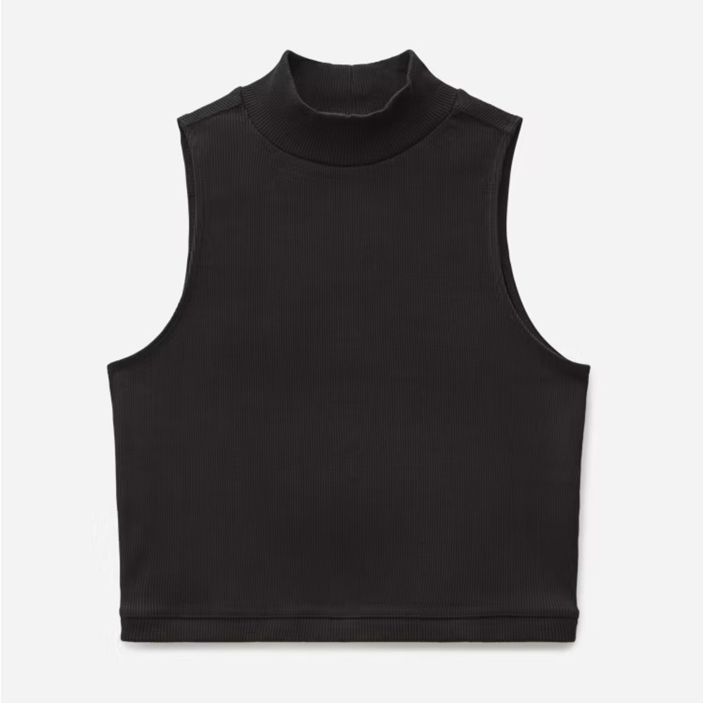 Ribbed Mockneck Tank | Everlane | xxs
